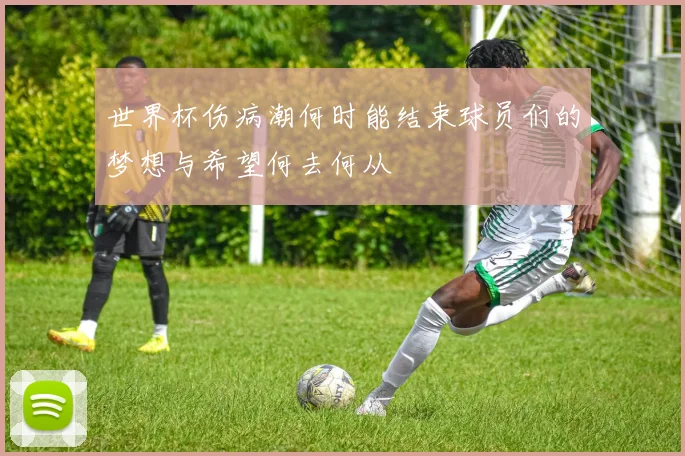 世界杯伤病潮何时能结束球员们的梦想与希望何去何从
